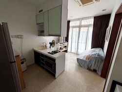 Heritage East (D15), Apartment #618307041
